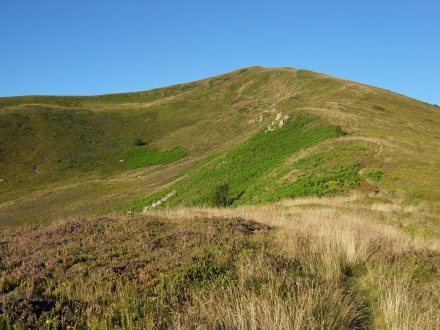 SAMSUNG DIGITAL CAMERA