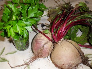 Photo de betteraves