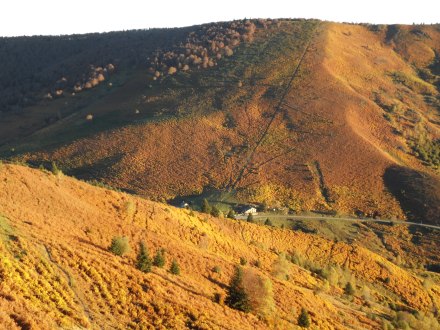 SAMSUNG DIGITAL CAMERA