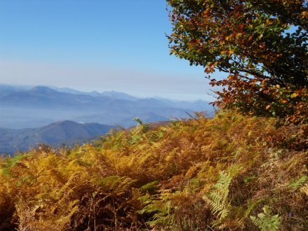 Les somptueuses couleurs autour du Péré