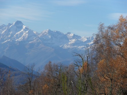 SAMSUNG DIGITAL CAMERA