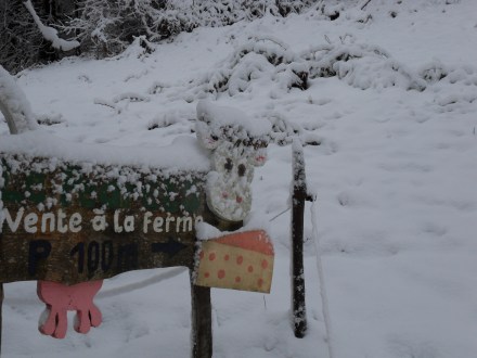 SAMSUNG DIGITAL CAMERA