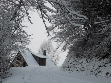 SAMSUNG DIGITAL CAMERA