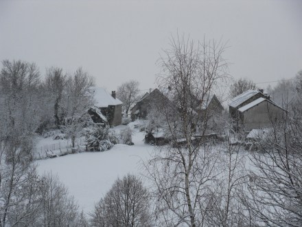 SAMSUNG DIGITAL CAMERA