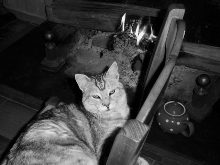 SAMSUNG DIGITAL CAMERA