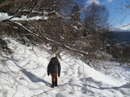 SAMSUNG DIGITAL CAMERA