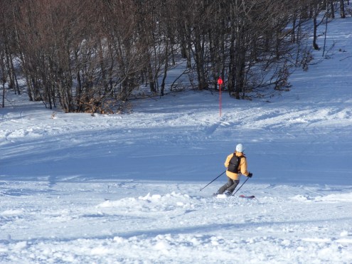 SAMSUNG DIGITAL CAMERA