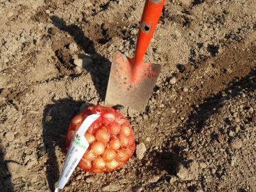 SAMSUNG DIGITAL CAMERA