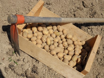 SAMSUNG DIGITAL CAMERA