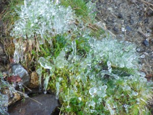 Encore un peu de glace