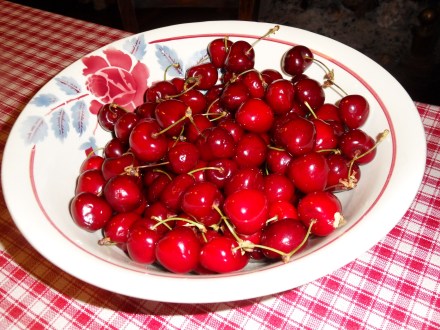 Saladier de cerises