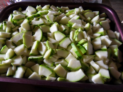 SAMSUNG DIGITAL CAMERA