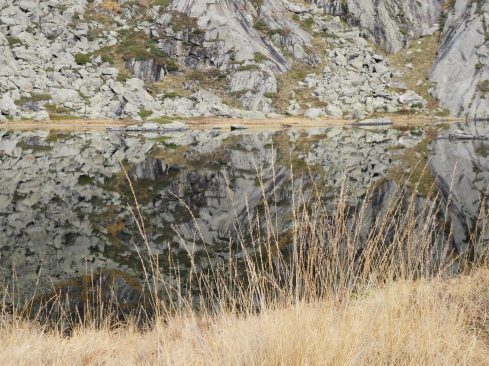 SAMSUNG DIGITAL CAMERA