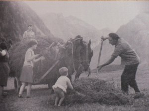 Photo anciennes foins