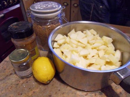 Les pommes coupées en dés et les ingrédients à ajouter