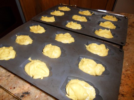 Plaques de madeleines