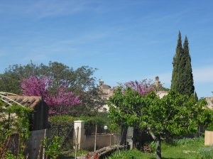 Lourmarin