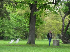 Balade dans le parc du château
