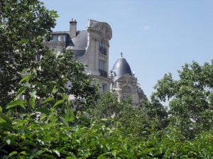 Immeubles parisiens et verdure