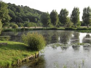 Le jardin des personnalités