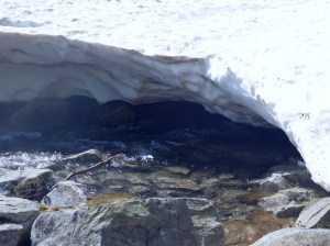 Ruisseau couvert de neige