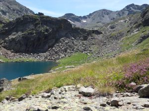 Le refuge, haut perché