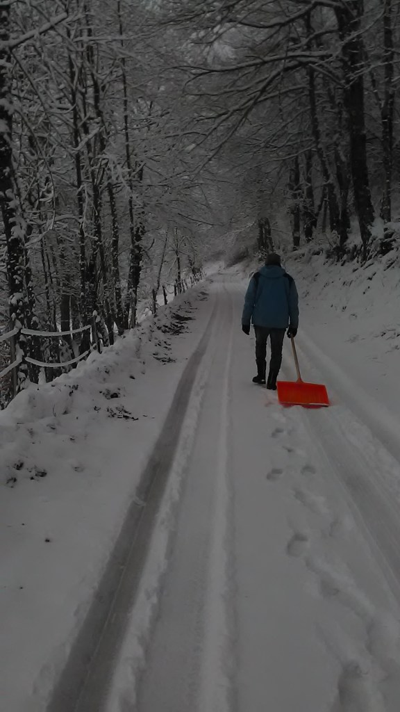 Cette image a un attribut alt vide ; son nom de fichier est img_20190121_163405.jpg