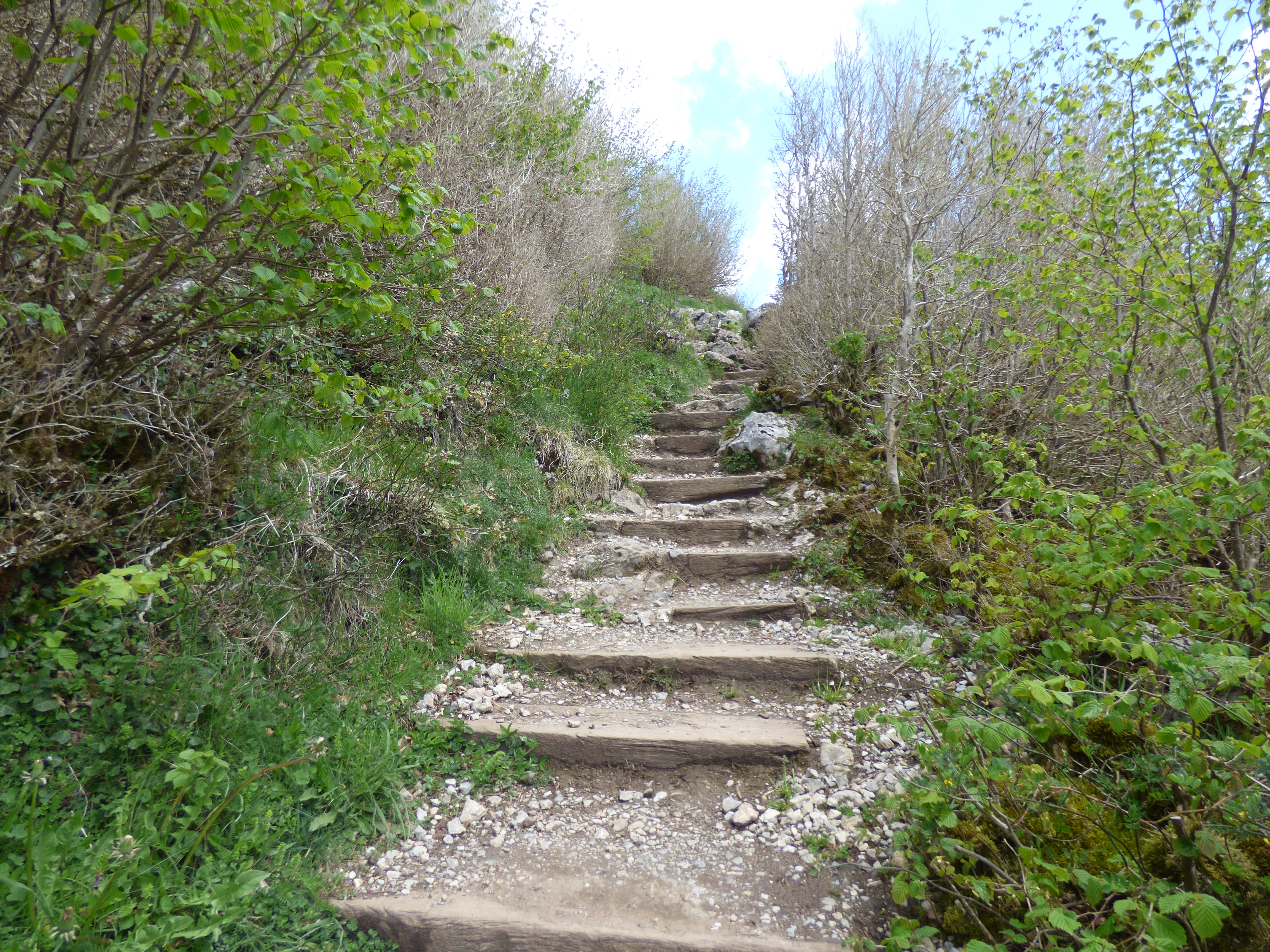 Le chemin de Montségur