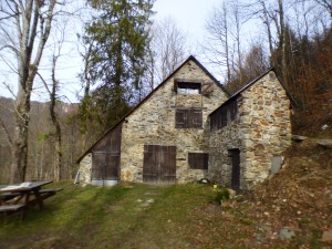 Un massacre d'arbres tout près de chez nous.