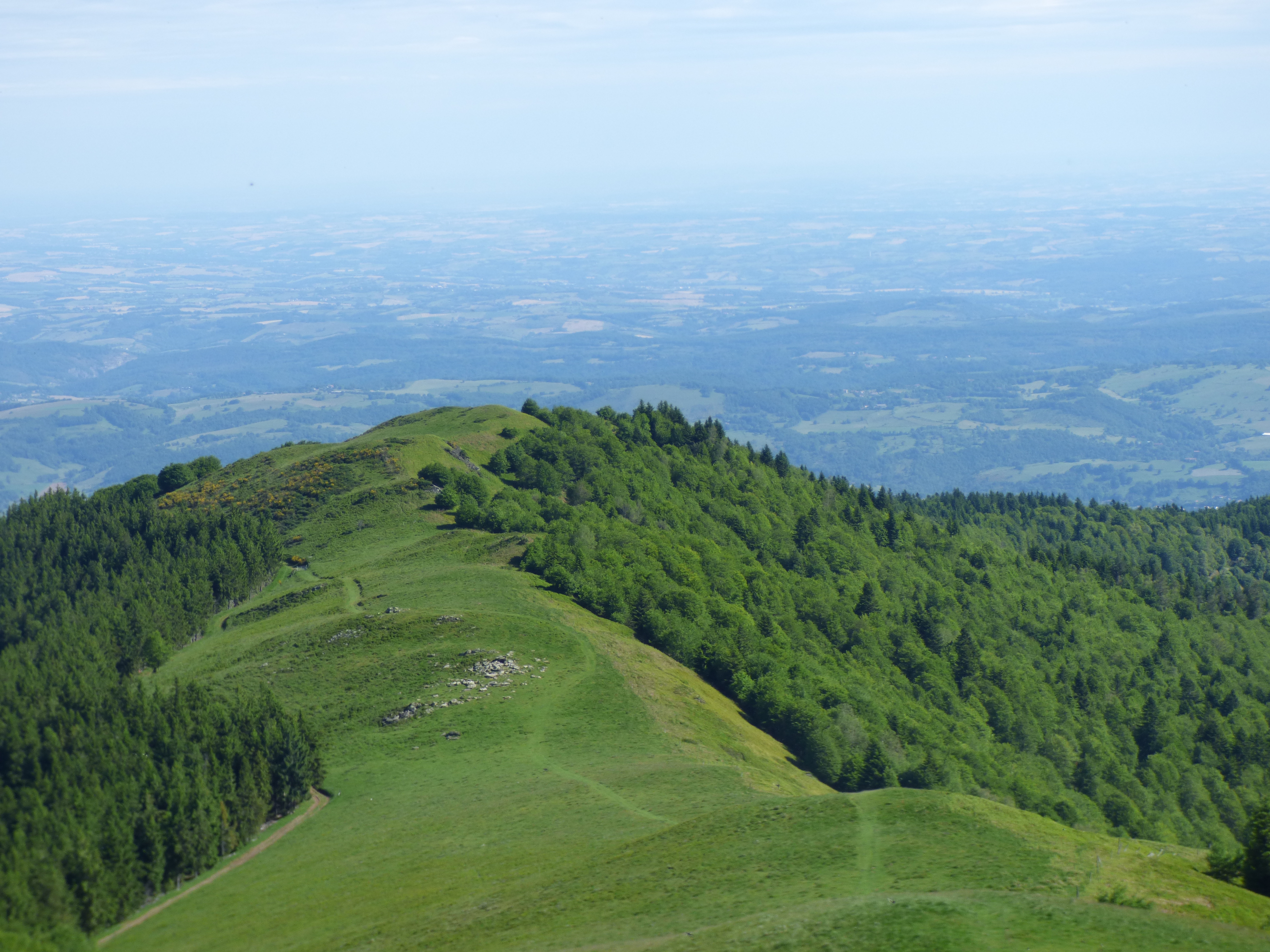 Une petite randonnée parfaite par un chaud matin d'été.